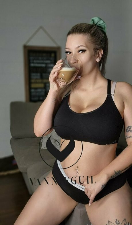 Vannieguil model top img