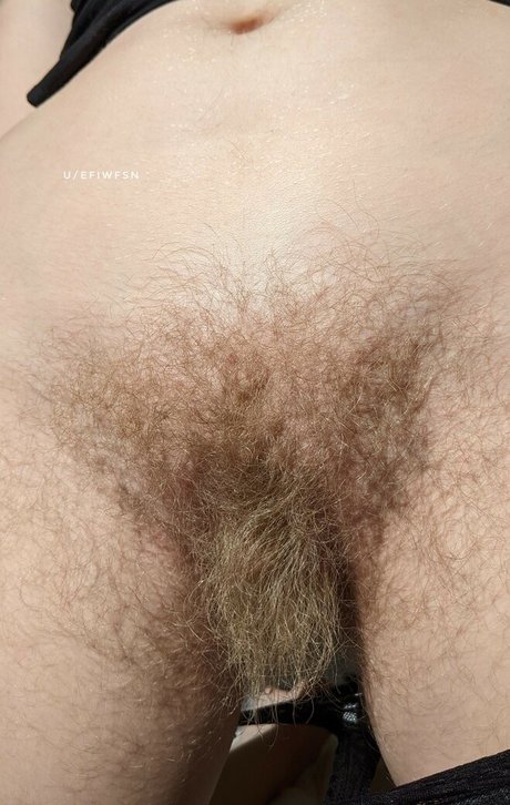 efiwfsn hd model pic