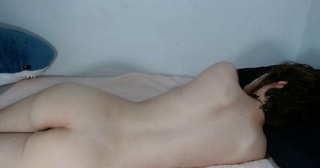 hootihoo high quality star gallery