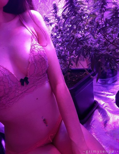 grimybby nude pornstar pictures