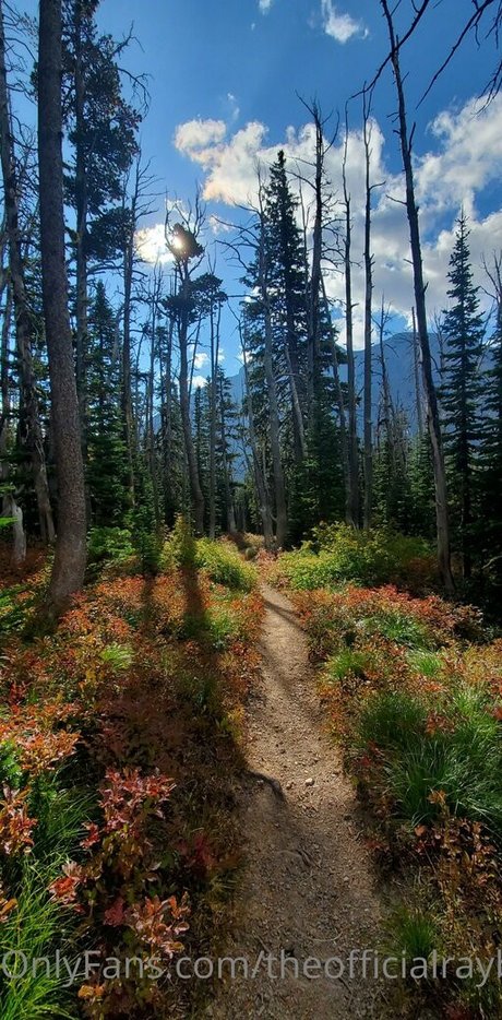 theofficialraybaby adult actress pic