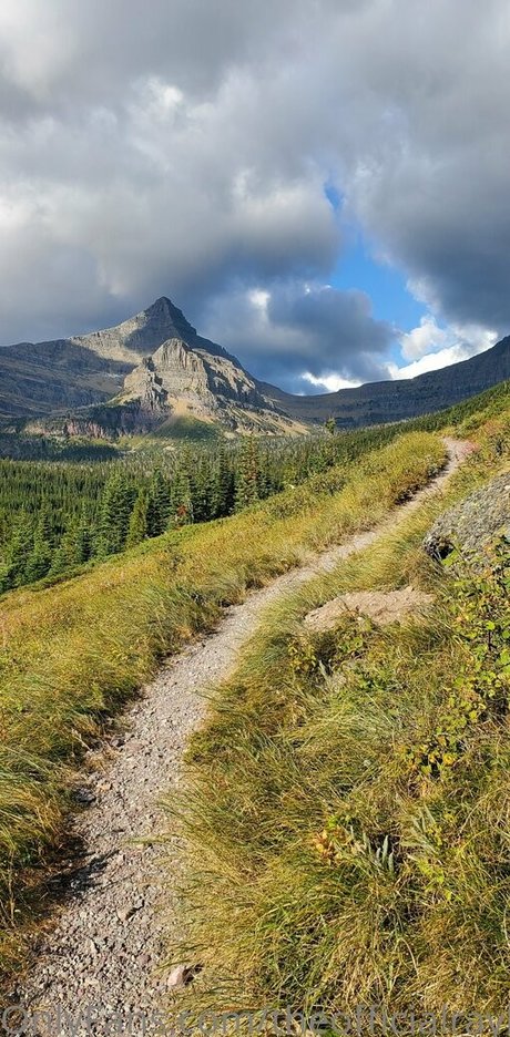 theofficialraybaby model pornographic picture