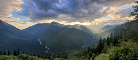 theofficialraybaby perfect star gallery