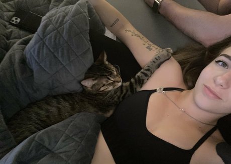 ravengonewildfree star adult gallery