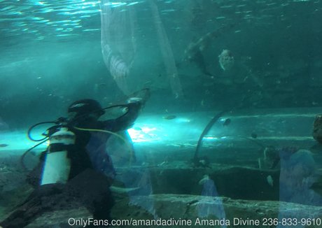 amandadivine beautiful pornstar pics