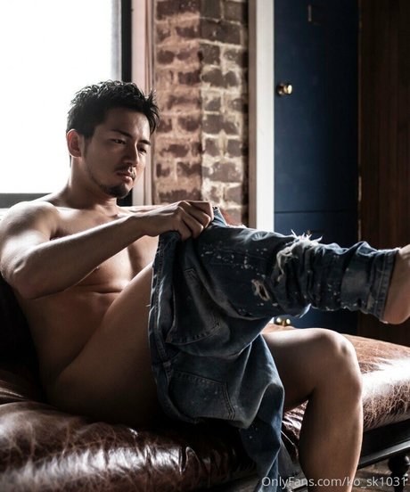 ko sk1031 model hd img