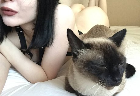 shadowshine5 pornographic model photos