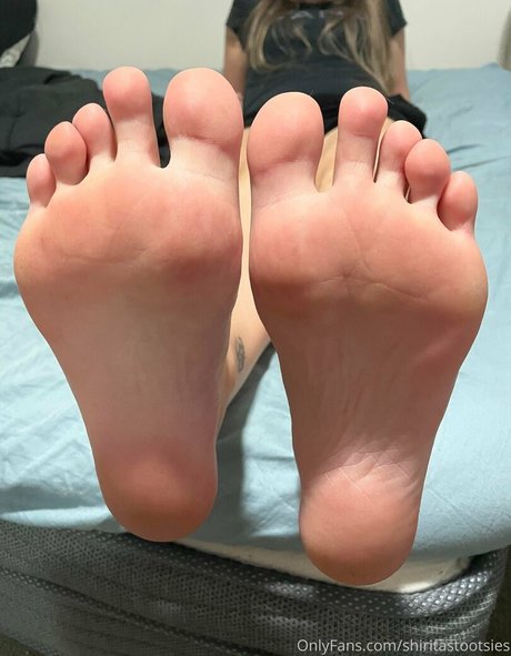 shiritastootsies pornstar adult archive