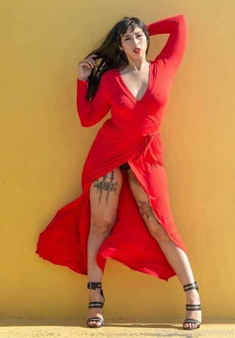 nattestid Profile pic