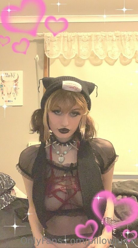 pillowjuice model pic