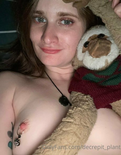 Decrepit plant perfect star galleries