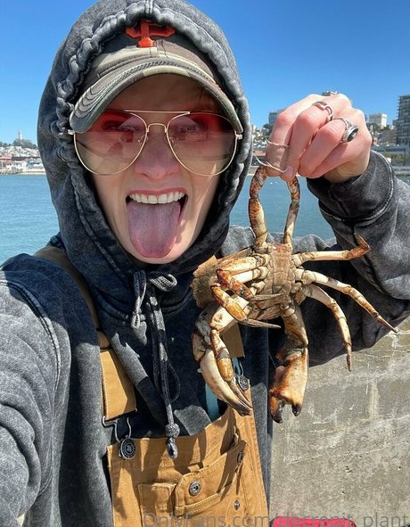 Decrepit plant star nice galleries