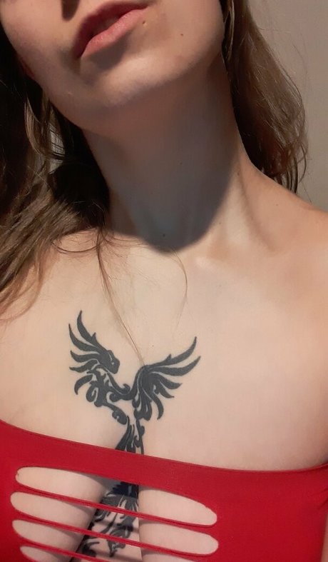 mislonglegs exclusive star archive