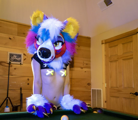 glittertitpup star hot img