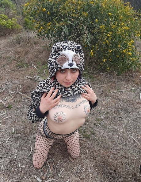 lingerie babe onlyfans porn galleries