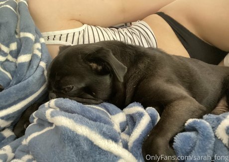 Sarah Fong star free image