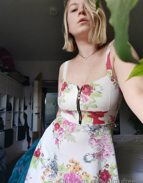 aimufreelia high quality star photos