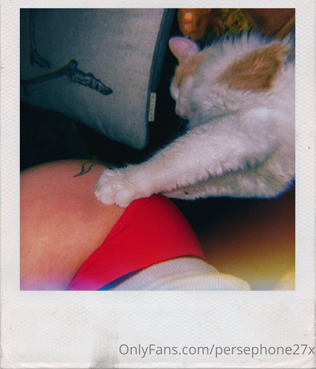 asian kitty onlyfans best image