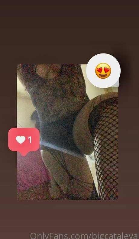 bigcataleya adult star pic