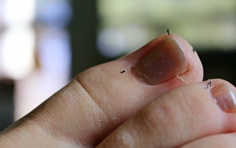 mantman model erotic photos