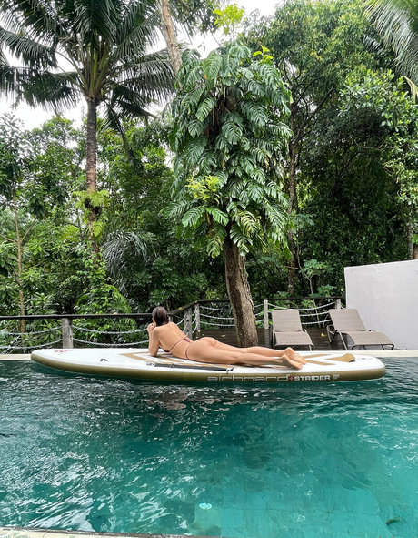 amy bird model nice image