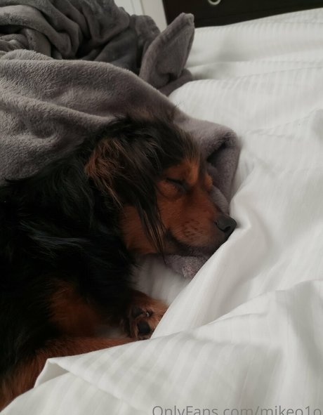 mikeo1o hd model picture