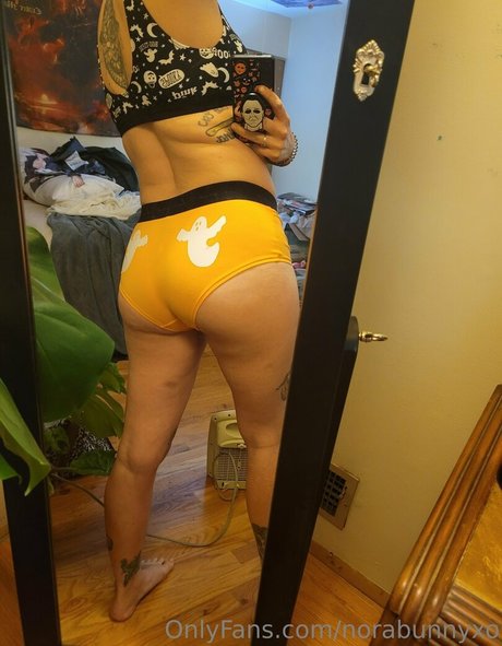 norabunnyxo high quality model galleries