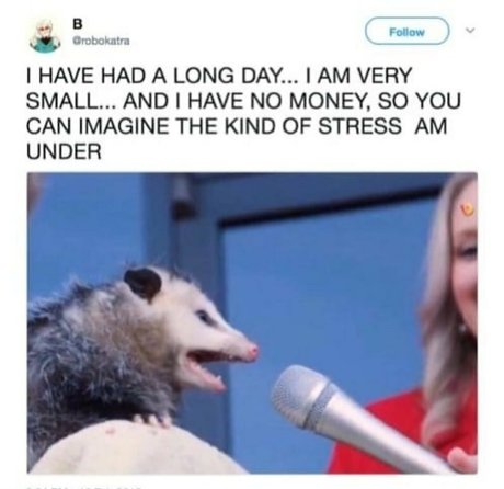 clumsiersquirrel naked model galleries