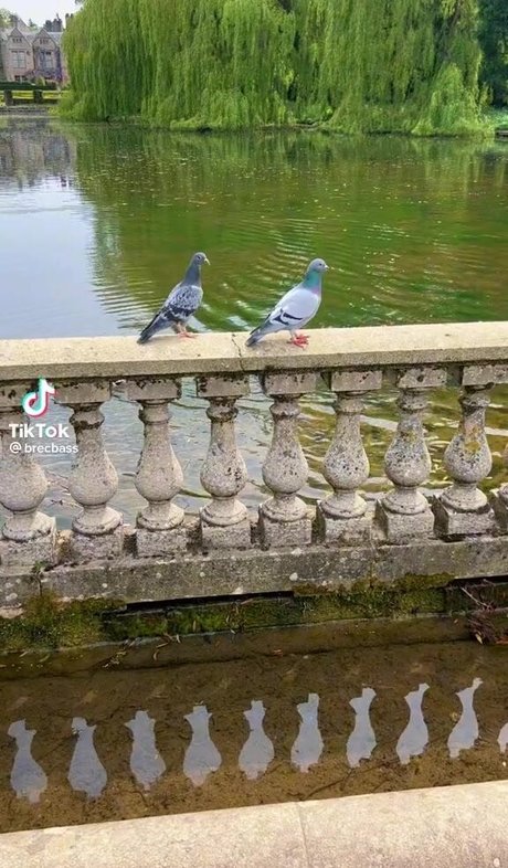 Brec Bassinger star xxx gallery