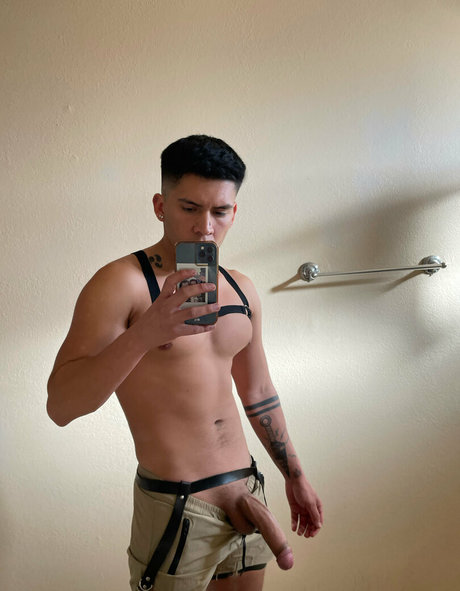 papitop star art gallery