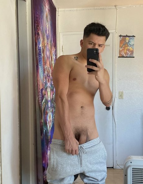 papitop model high quality galleries