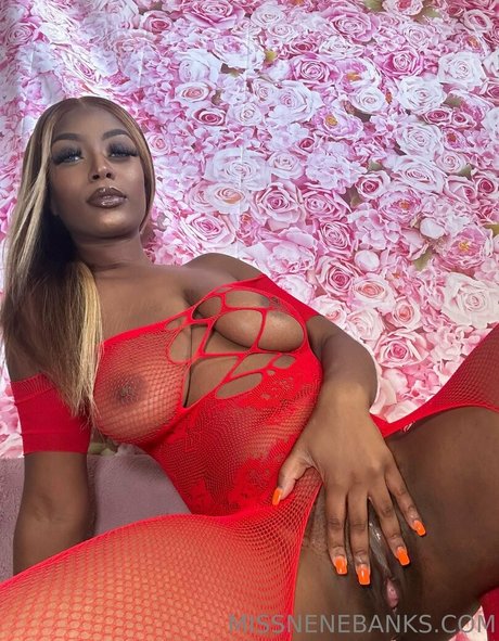 godknowsimbroke star free pic