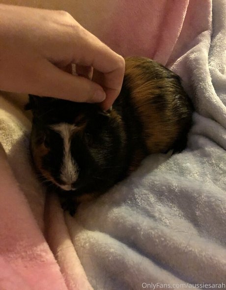 aussiesarah pretty model gallery