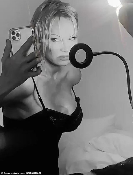 onion onlyfans exclusive galleries