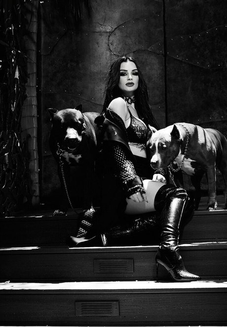 black gay onlyfans sexy galleries