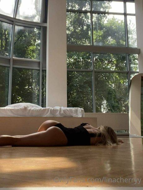 linacherryy pornstar high quality gallery