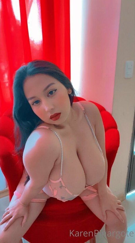 Karen Pinargote Torres pornstar exclusive image
