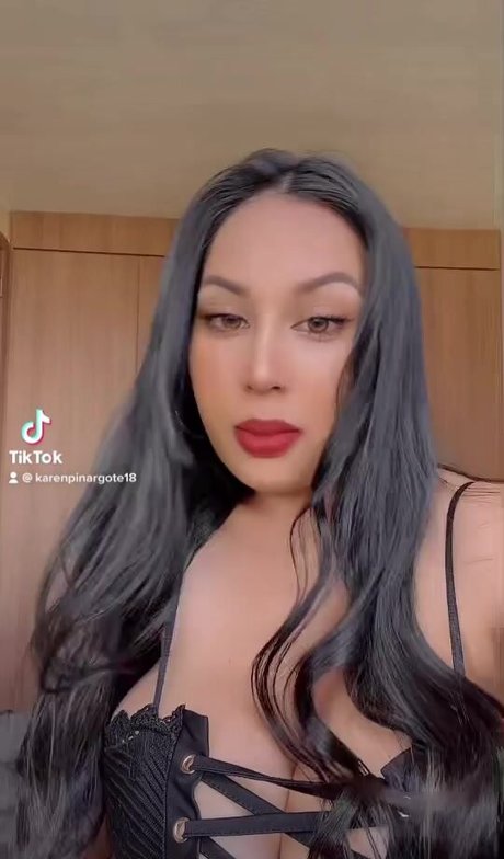 Karen Pinargote Torres star adult images