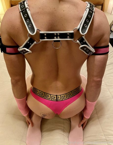 holetrainerleo nice star images