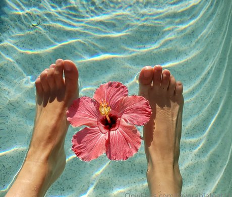 favorablefeet11 sexy pornstar pictures