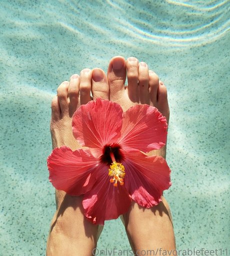 favorablefeet11 star art photos