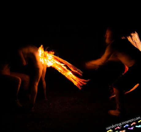 wanderingcinnamon2 star high quality pics