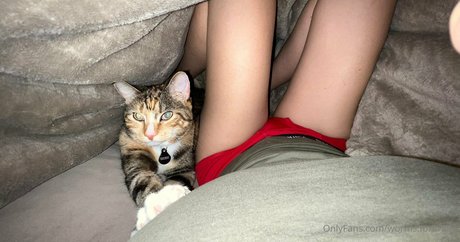 worms forbrains perfect pornstar pics