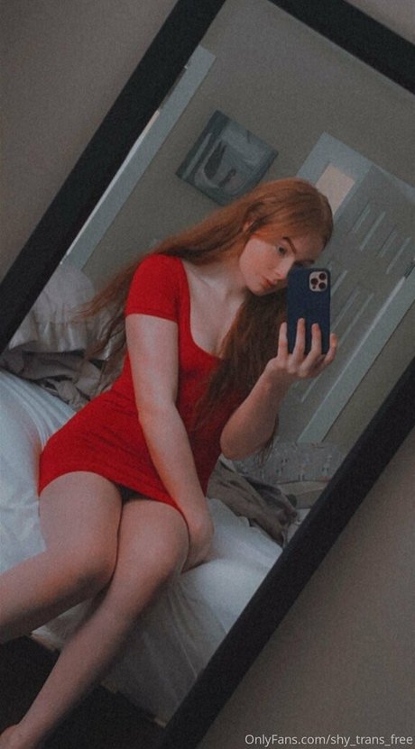 shy trans free star high quality gallery
