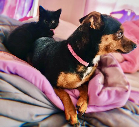 teen handjob onlyfans beautiful gallery