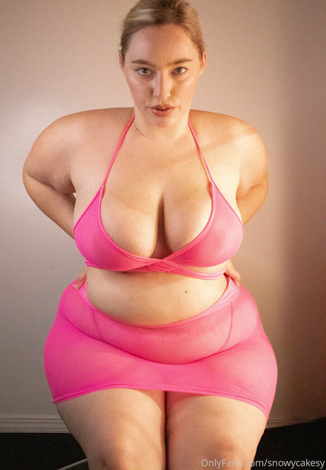 snowycakesy model top picture