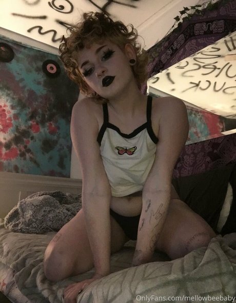 veeginas star art photos