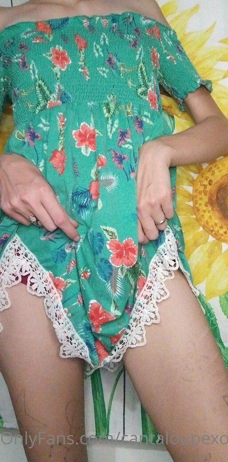 cantaloupexo model high quality galleries