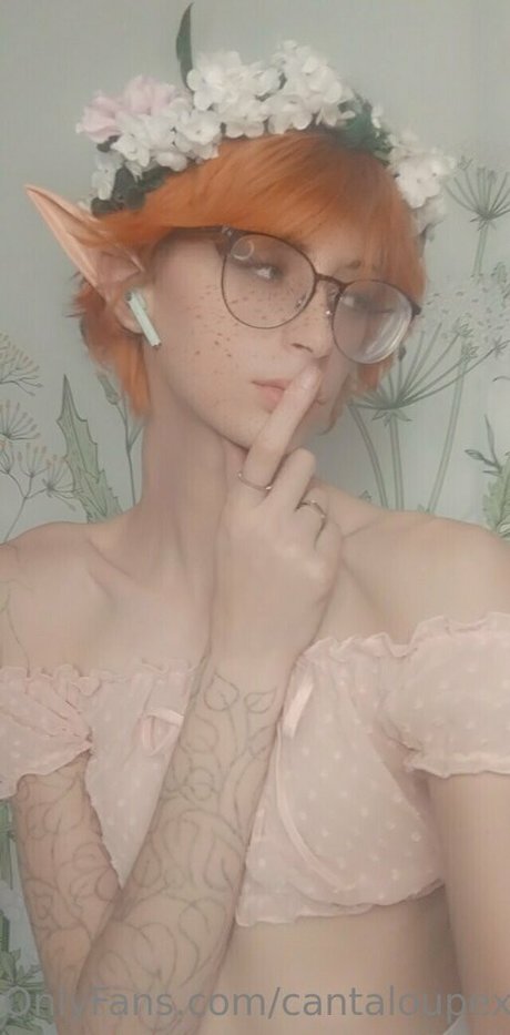 cantaloupexo beautiful star photo