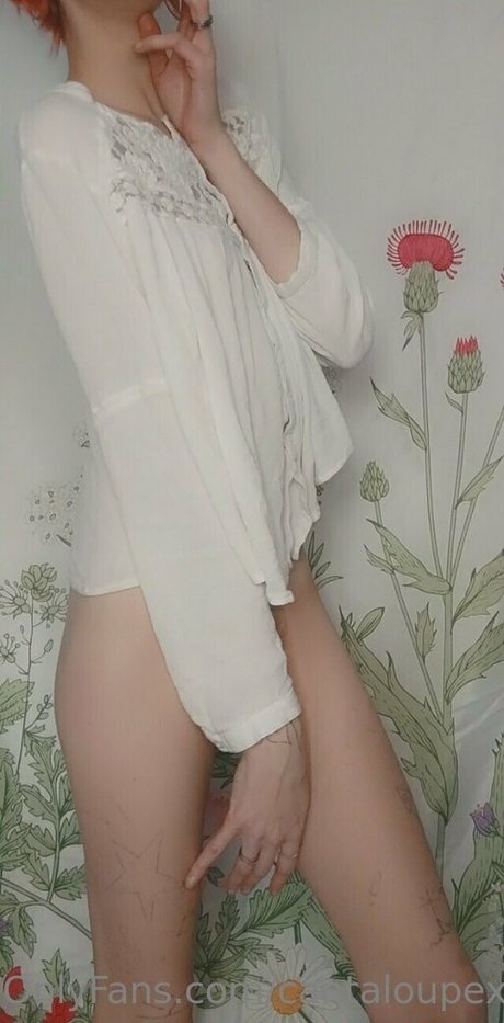 cantaloupexo beautiful pornstar pics